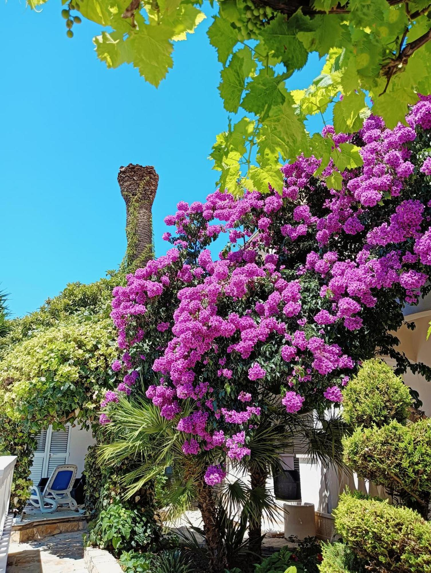 Villa Aspalathos Kaštela 外观 照片